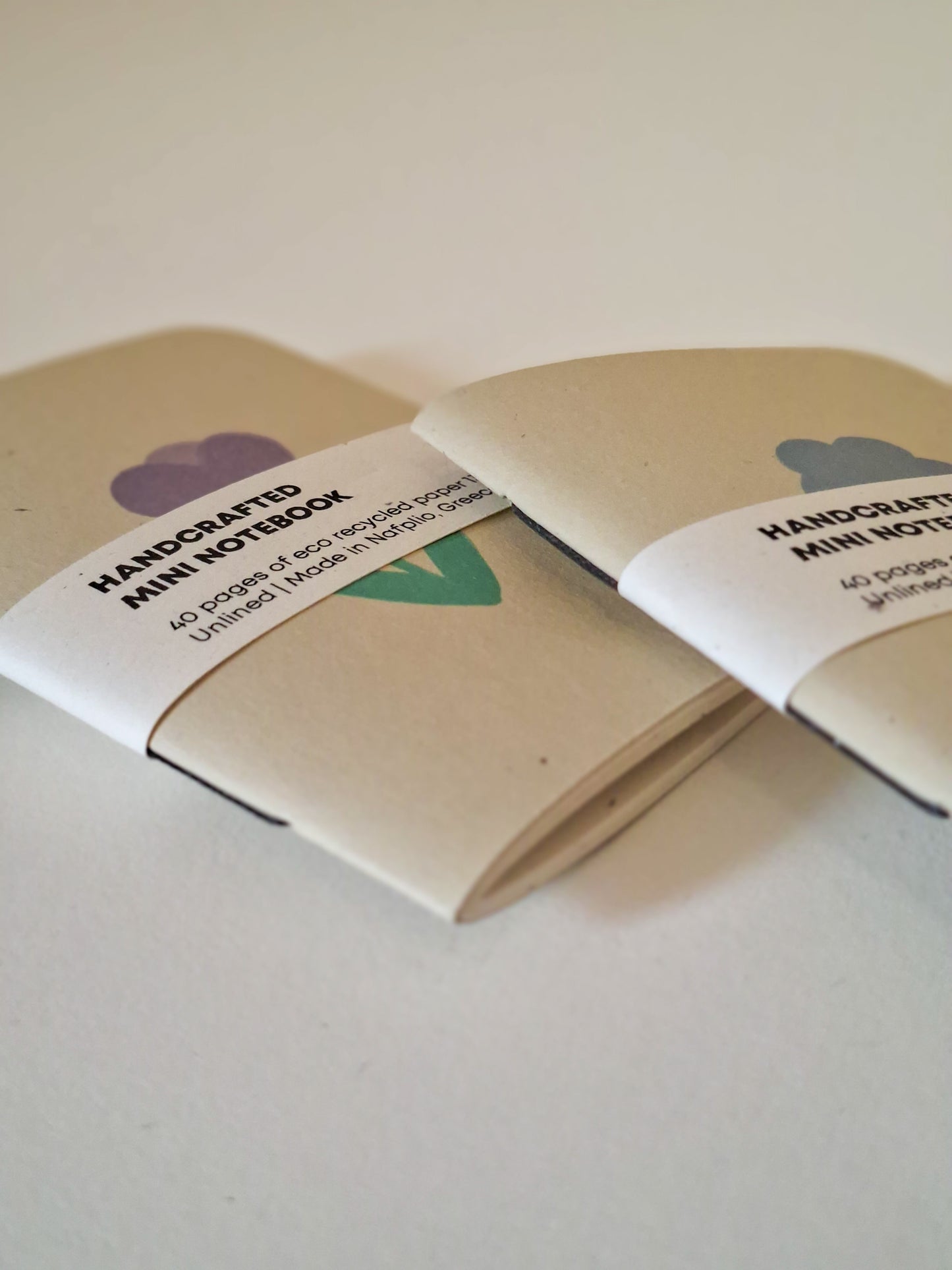 tulip & daisy ▪ mini notebooks